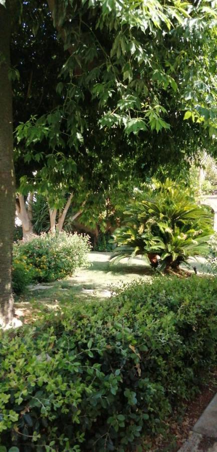 Residence Il Giunco Презичче Экстерьер фото